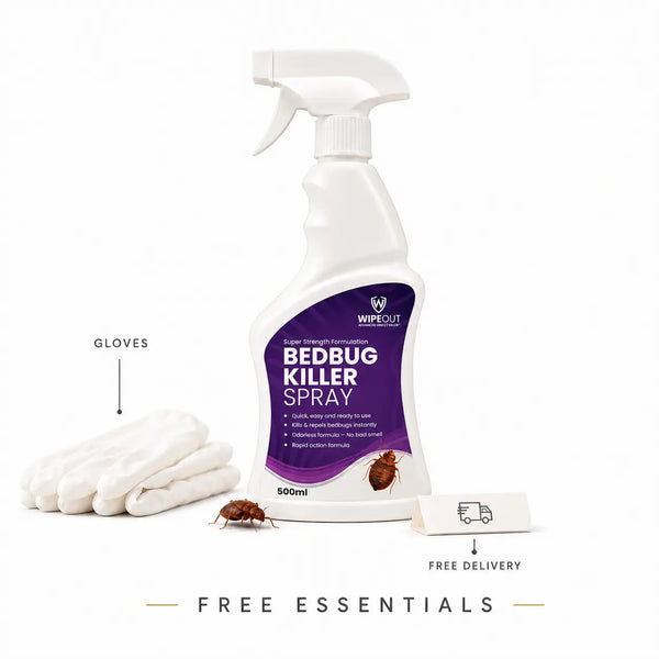 WIPEOUT Bedbug Killer Spray